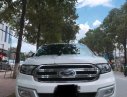 Ford Everest Trend 2.2L 4x2 AT 2017 - Bán Ford Everest Trend 2.2L 4x2 AT sản xuất 2017, màu trắng, nhập khẩu 