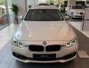 BMW 3 Series 320i 2018 - Bán BMW 3 Series 320i năm 2018, màu trắng, nhập khẩu