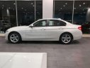 BMW 3 Series 320i 2018 - Bán BMW 3 Series 320i năm 2018, màu trắng, nhập khẩu