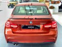 BMW 3 Series 320i 2018 - Cần bán xe BMW 3 Series 320i năm sản xuất 2018, xe nhập