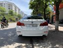 BMW 5 Series 520i 2012 - Bán xe BMW 520i SX 2012