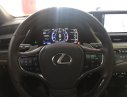 Lexus ES ES250 2018 - Bán Lexus ES 250 sx 2018 đăng ký 2019 màu vàng bạch kim, xe đi đúng 1.700km, bảo hiểm 2 chiều bao kiểm tra tại hãng