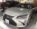 Lexus ES ES250 2018 - Bán Lexus ES 250 sx 2018 đăng ký 2019 màu vàng bạch kim, xe đi đúng 1.700km, bảo hiểm 2 chiều bao kiểm tra tại hãng