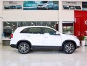 Kia Sorento   2019 - Bán Kia Sorento sản xuất năm 2019, màu trắng, 919tr