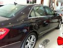 Mercedes-Benz E class E250 AT 2010 - Cần bán lại xe Mercedes năm sản xuất 2010, màu nâu