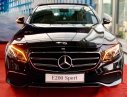 Mercedes-Benz E class E200  2020 - [Hot đầu năm] Mercedes E200 Sport 2020 giao ngay, giá bán và km, giá lăn bánh tốt nhất. LH: 0902 342 319