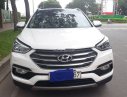 Hyundai Santa Fe  4WD 2018 - Bán Hyundai Santa Fe 4WD đời 2018, bản đặc biệt AWD cao cấp nhất