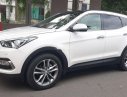 Hyundai Santa Fe  4WD 2018 - Bán Hyundai Santa Fe 4WD đời 2018, bản đặc biệt AWD cao cấp nhất