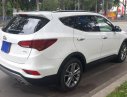 Hyundai Santa Fe  4WD 2018 - Bán Hyundai Santa Fe 4WD đời 2018, bản đặc biệt AWD cao cấp nhất