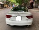 Audi A5 2011 - Cần bán lại xe Audi A5 đời 2011, màu trắng, nhập khẩu nguyên chiếc, 789tr