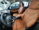 BMW X3   2019 - Bán BMW X3 năm sản xuất 2019, nhập khẩu  