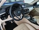 BMW 5 Series   2019 - Bán BMW 525i đời 2019, màu đen, xe nhập