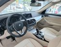 BMW 5 Series 2019 - BMW 5 Series 520i, màu trắng, nhập khẩu Đức, sang trọng, đẳng cấp