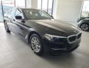 BMW 5 Series   2019 - Bán BMW 525i đời 2019, màu đen, xe nhập