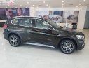 BMW X1 sDrive18i 2019 - Bán BMW X1 sDrive18i đời 2019, màu đen, nhập khẩu nguyên chiếc