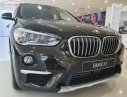 BMW X1 sDrive18i 2019 - Bán BMW X1 sDrive18i đời 2019, màu đen, nhập khẩu nguyên chiếc