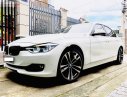 BMW 3 Series 320i 2014 - Bán BMW 3 Series 320i sản xuất 2014, màu trắng, nhập khẩu