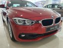 BMW 3 Series 320i 2019 - Bán BMW 3 Series 320i đời 2019, màu đỏ, xe nhập