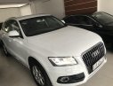 Audi Q5 2.0 2012 - Bán Audi Q5 sx 2012, xe đẹp đi 40.000km đúng bao test tại hãng