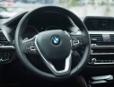 BMW X4 xDrive20i 2019 - Bán ô tô BMW X4 xDrive20i đời 2019, màu đỏ, nhập khẩu nguyên chiếc