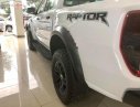 Ford Ranger 2.0L 4x4 AT 2019 - Cần bán xe Ford Ranger 2.0L 4x4 AT năm 2019, màu trắng, nhập khẩu nguyên chiếc