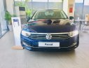 Volkswagen Passat Blue motion 2019 - Volkswagen passat blue motion - xe sang cho doanh nhân