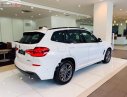 BMW X3 2019 - Cần bán BMW X3 xDrive20i đời 2019, màu trắng, xe nhập