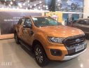 Ford Ranger  Wildtrak  2019 - Cần bán Ford Ranger Wildtrak 2019, nhập khẩu  