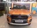 Ford Ranger  Wildtrak  2019 - Cần bán Ford Ranger Wildtrak 2019, nhập khẩu  