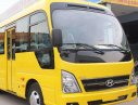 Hyundai County 2019 - Bán xe khách 29 chỗ Hyundai County đời 2019, màu vàng, nhập khẩu