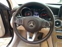 Mercedes-Benz C class   2017 - Bán Mercedes C250 Exclusive 2017, màu nâu