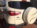 Ford EcoSport 2016 - Cần bán xe Ford EcoSport năm sản xuất 2016, màu trắng