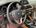 BMW X4 2019 - Bán BMW X4 sản xuất năm 2019, màu trắng, nhập khẩu