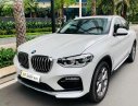 BMW X4 2019 - Bán BMW X4 sản xuất năm 2019, màu trắng, nhập khẩu