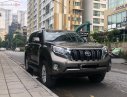 Toyota Land Cruiser 2017 - Bán ô tô Toyota Land Cruiser đời 2017, màu nâu, nhập khẩu nguyên chiếc, xe gia đình