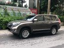 Toyota Land Cruiser 2017 - Bán ô tô Toyota Land Cruiser đời 2017, màu nâu, nhập khẩu nguyên chiếc, xe gia đình