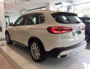 BMW X5 xDrive40i 2019 - Bán BMW X5 xDrive40i 2019, màu trắng, nhập khẩu  