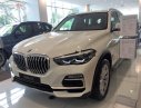 BMW X5 xDrive40i 2019 - Bán BMW X5 xDrive40i 2019, màu trắng, nhập khẩu  