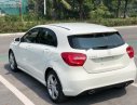 Mercedes-Benz A class A200 2013 - Bán xe Mercedes A200 2013, màu trắng, xe nhập