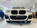 BMW X3 2019 - Bán xe BMW X3 xDrive20i đời 2019, màu trắng, xe nhập