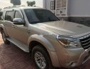 Ford Everest 2009 - Bán Ford Everest 2009, màu hồng, nhập khẩu  