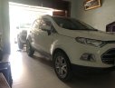 Ford EcoSport 2016 - Bán Ford EcoSport năm sản xuất 2016, màu trắng, giá tốt