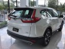 Honda CR V 2019 - Bán xe Honda CR V sản xuất 2019, nhập khẩu