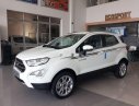 Ford EcoSport 2019 - Bán xe Ford EcoSport 2019, màu trắng