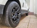 Ford EcoSport 2017 - Cần bán xe Ford Ecosport Titanium Black Edition đời 2017, màu trắng