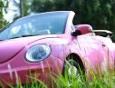 Volkswagen Beetle 2008 - Cần bán Volkswagen Beetle 2008 nhập khẩu Mỹ