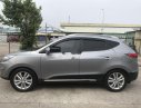 Hyundai Tucson 2010 - Bán Hyundai Tucson đời 2010, màu bạc, nhập khẩu nguyên chiếc