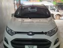 Ford EcoSport Titanium 2016 - Chính chủ bán Ford EcoSport Titanium đời 2016, màu trắng, nhập khẩu