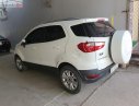Ford EcoSport Titanium 2016 - Chính chủ bán Ford EcoSport Titanium đời 2016, màu trắng, nhập khẩu