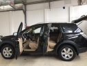 Chevrolet Captiva 2009 - Bán Chevrolet Captiva đời 2009, màu đen xe gia đình, 300 triệu